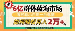 6亿群体蓝海市场，零经验小白用一台电脑，如何轻松月入过w【揭秘】-16888副业资讯