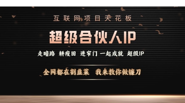 互联网项目天花板，超级合伙人IP，全网都在割韭菜，我来教你做镰刀【仅揭秘】-16888副业资讯
