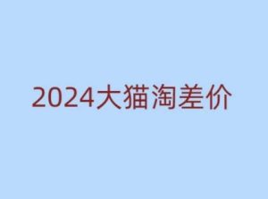 2024版大猫淘差价课程，新手也能学的无货源电商课程-16888副业资讯