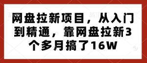 网盘拉新项目，从入门到精通，靠网盘拉新3个多月搞了16W-16888副业资讯