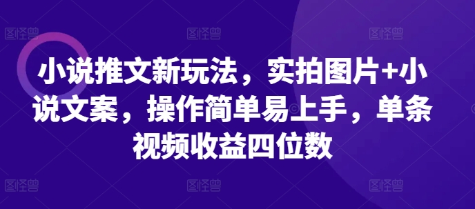 小说推文新玩法，实拍图片+小说文案，操作简单易上手，单条视频收益四位数-16888副业资讯