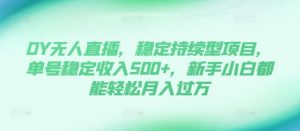 DY无人直播,稳定持续型项目,单号稳定收入500+,新手小白都能轻松月入过万【揭秘】-16888副业资讯