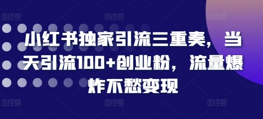 小红书独家引流三重奏，当天引流100+创业粉，流量爆炸不愁变现【揭秘】-16888副业资讯