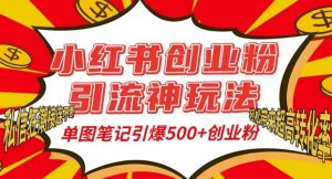 小红书创业粉引流神玩法,单图笔记引爆500+精准创业粉丝,私信狂潮接连不断-16888副业资讯