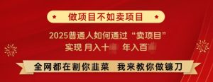 必看,做项目不如卖项目,2025普通人如何通过“卖项目”实现月入十个,年入百个-16888副业资讯