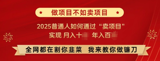 必看，做项目不如卖项目，2025普通人如何通过“卖项目”实现月入十个，年入百个-16888副业资讯