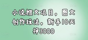 小说推文项目，图文创作玩法，新手10天挣3000-16888副业资讯