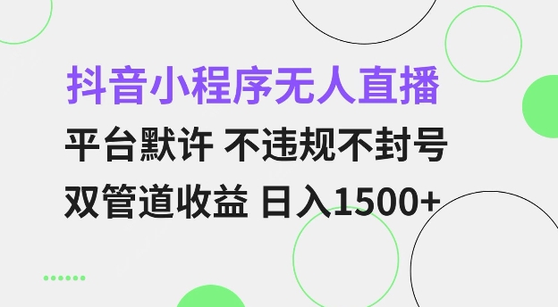 抖音小程序无人直播 平台默许 不违规不封号 双管道收益 日入多张 小白也能轻松操作【仅揭秘】-16888副业资讯