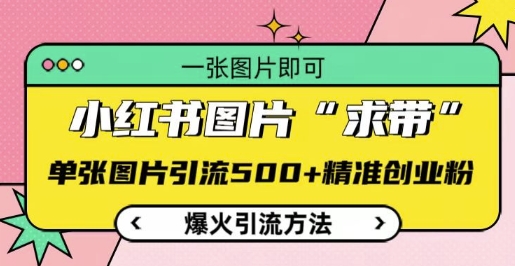 小红书图片‘求带’爆火引流法，单张图片引流500+精准创业粉【揭秘】-16888副业资讯