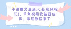 小说推文最新玩法(视频标记),单条视频收益四位数,详细教程来了-16888副业资讯