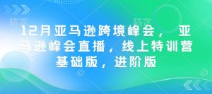 12月亚马逊跨境峰会， 亚马逊峰会直播，线上特训营基础版，进阶版-16888副业资讯