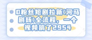 0粉丝短剧拉新(河马剧场)全流程,一个视频搞了2954-16888副业资讯