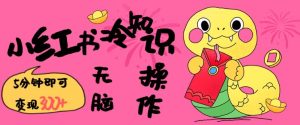 小红书冷知识账号,无脑复制粘贴,5分钟即可变现3张-16888副业资讯