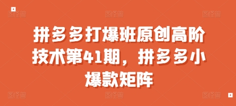 拼多多打爆班原创高阶技术第41期，拼多多小爆款矩阵-16888副业资讯