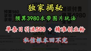 预算3980求带 图片玩法，单条日引流500+精准创业粉，私信根本回不完-16888副业资讯