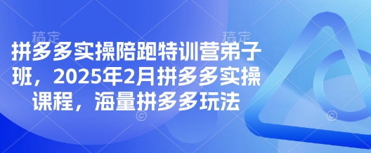 拼多多实操陪跑特训营弟子班，2025年2月拼多多实操课程，海量拼多多玩法-16888副业资讯