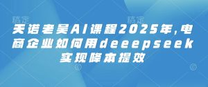 天诺老吴AI课程2025年，电商企业如何用deeepseek实现降本提效-16888副业资讯