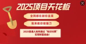 2025项目天花板普通人如何通过知识付费，实现财F自由【揭秘】-16888副业资讯