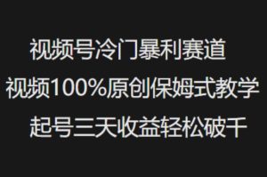 视频号冷门暴利赛道视频100%原创保姆式教学起号三天收益轻松破千-16888副业资讯