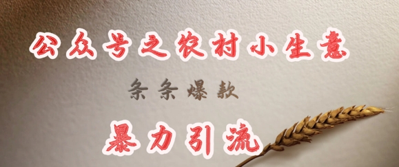 deepseek写农村小项目，条条爆款，暴力引流-16888副业资讯