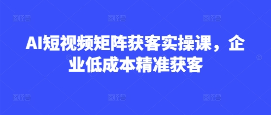 AI短视频矩阵获客实操课，企业低成本精准获客-16888副业资讯