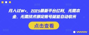 月入过W+,2025最新平台红利,无需本金、无需技术绑定账号就能自动收米-16888副业资讯