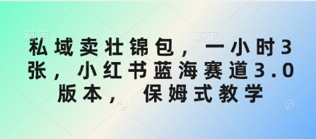 私域卖壮锦包，一小时3张，小红书蓝海赛道3.0版本， 保姆式教学-16888副业资讯