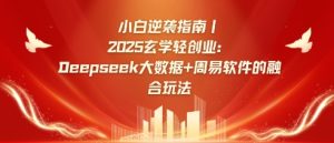 小白逆袭指南,2025玄学轻创业:Deepseek大数据+周易算法的融合玩法-16888副业资讯