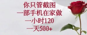 你只管截图,一部手机在家做,一小时120.一天5张【揭秘】-16888副业资讯