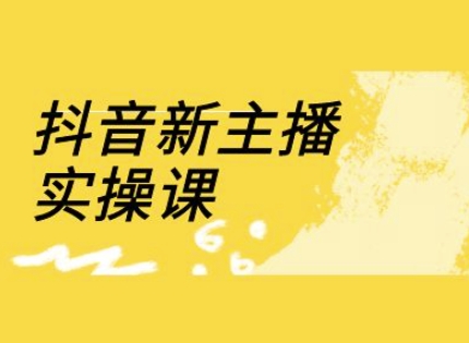 抖音新主播实操课，直播间流量运营线上实操课(18节)-16888副业资讯