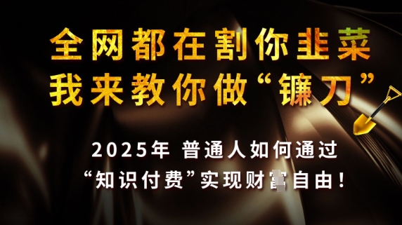 全网都在割你韭菜，我来教你做镰刀，2025普通人如何通过知识付费，实现财F自由【揭秘】-16888副业资讯