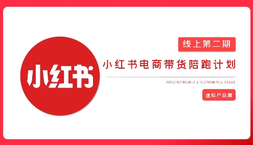 2025小红书虚拟电商实战课，从0到1打造无货源店铺，AI+爆款笔记轻松变现-16888副业资讯