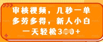 审核视频，几秒一单，多劳多得，新人小白一天轻松3张【揭秘】-16888副业资讯