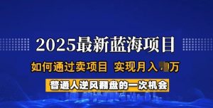 2025蓝海项目，普通人如何通过卖项目，实现月入过W，全过程【揭秘】-16888副业资讯