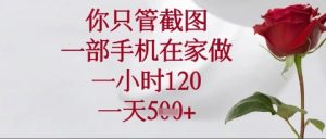 你只管截图,一部手机在家操作,一小时120.一天5张【揭秘】-16888副业资讯