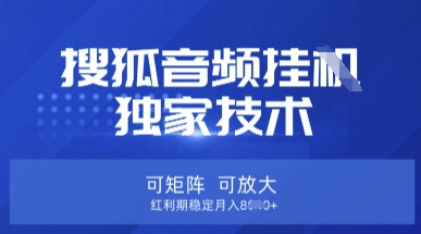 【搜狐音频挂G】独家技术，可矩阵可放大，红利期稳定月入8k【揭秘】-16888副业资讯
