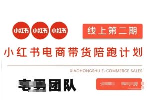 小红书电商带货课2期,月利润20个的小红书电商的有货源,无货源,虚拟产品,付费投流等整套玩法-16888副业资讯