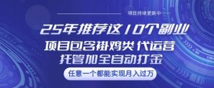 25年推荐这10个副业项目包含褂鸡类、代运营托管类、全自动打金类【揭秘】-16888副业资讯