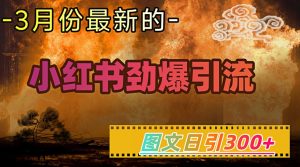 小红书超劲爆引流手段,图文日引300+轻松变现1W-16888副业资讯