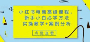 小红书电商高级课程，新手小白必学方法，实操教学+案例分析-16888副业资讯