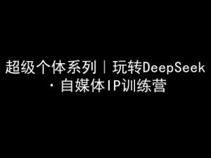 超级个体系列，玩转DeepSeek·自媒体IP训练营，deepseek教程-16888副业资讯