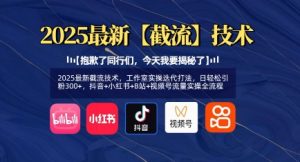 2025最新截流技术,工作室实操迭代打法,日轻松引粉300+,抖音+小红书+B站+视频号流量实操全流程-16888副业资讯