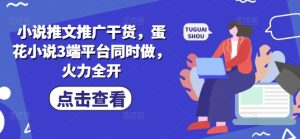 小说推文推广干货,蛋花小说3端平台同时做,火力全开-16888副业资讯