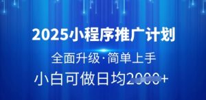 2025小程序推广计划,全面升级,简单上手,日均多张【揭秘】-16888副业资讯