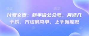 付费文章:新手做公众号,月涨几干粉,方法很简单,上手就能做-16888副业资讯