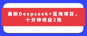 最新Deepseek+蓝海项目,十分钟收益2张-16888副业资讯