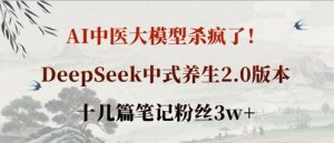AI中医大模型杀疯了!DeepSeek中式养生2.0版本,十几篇笔记粉丝3w+-16888副业资讯