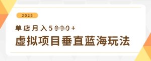 虚拟项目垂直玩法,实现单店月入5k+-16888副业资讯