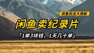 闲鱼卖纪录片1单3块钱，1天几十单，项目稳定有潜力-16888副业资讯