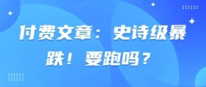 付费文章：史诗级暴跌！要跑吗？-16888副业资讯